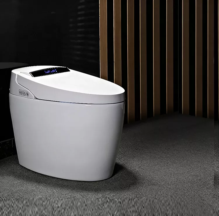 Flip-Top Smart Toilet e Sebelisang Maoto