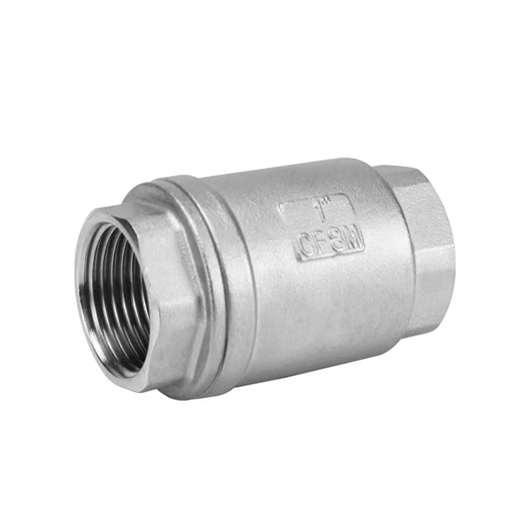 H12 Industrial Vertical Check Valve