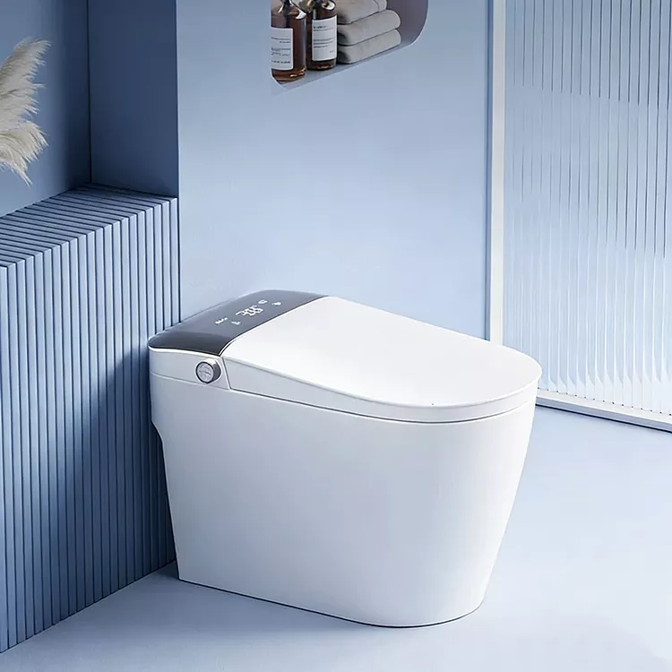 Sekirini se Seholo sa Digital Display Knob Smart Toilet