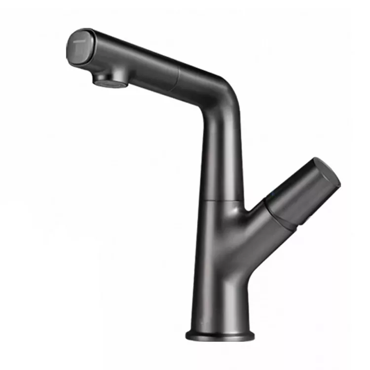 Phahamisa Pull-Out Swivel Basin Faucet