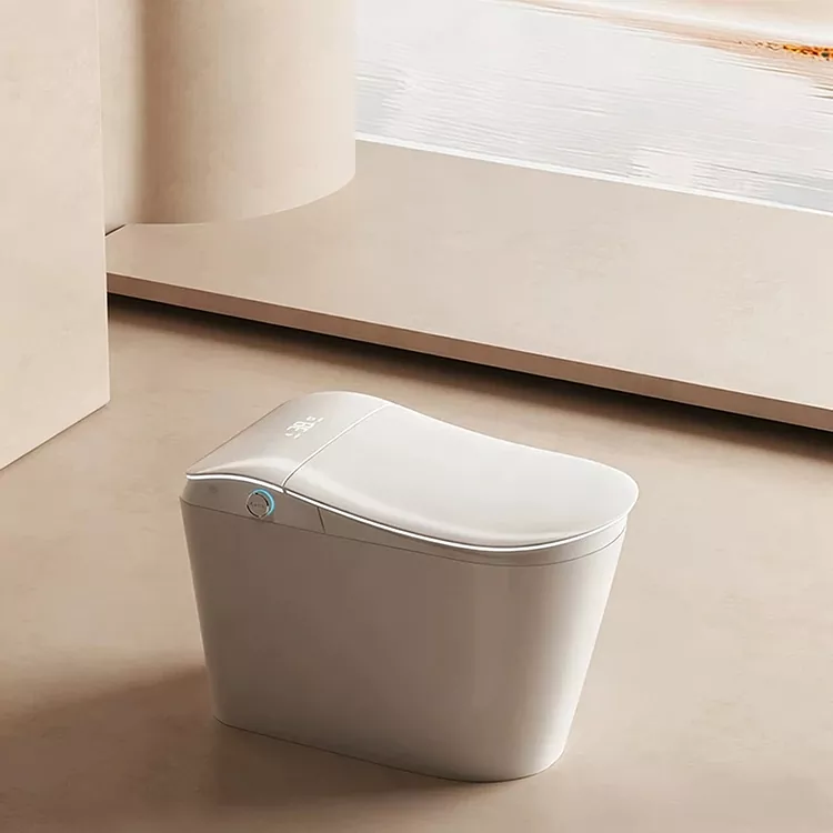 Smart Toilet e Nang le Sefe ea Metsi e Hahelletsoeng ka Metsing le Ho Hlahla ka Maoto